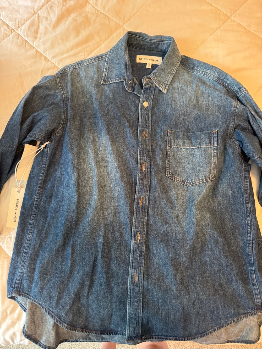 Aritzia Denim Button-Down Shirt in Blue